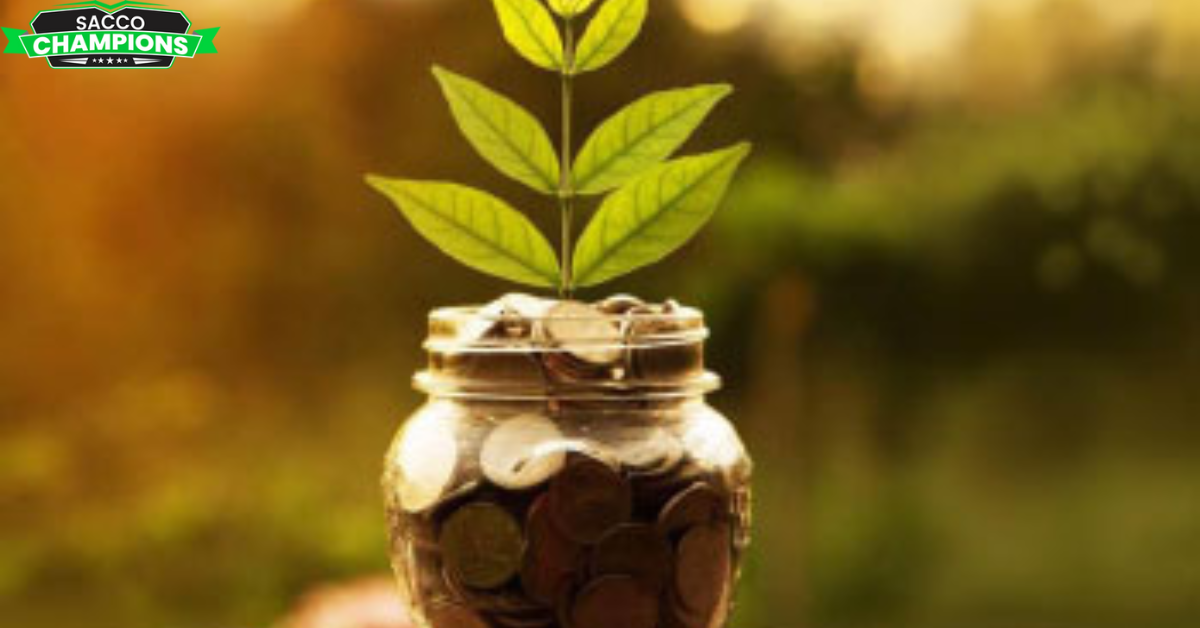 Forming a Niche Sacco